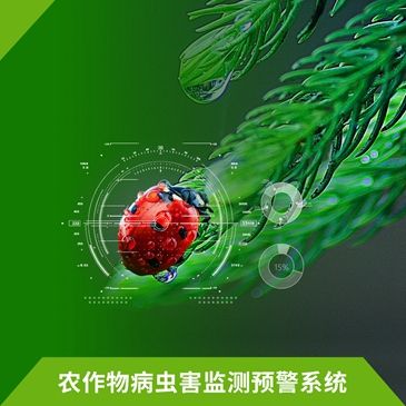 廣西農(nóng)作物病蟲害監(jiān)測(cè)預(yù)報(bào)體系“三化”建設(shè)促進(jìn)農(nóng)業(yè)防災(zāi)減災(zāi)提質(zhì)增效