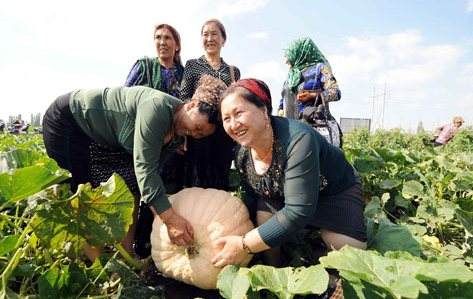 新疆農業：培育全產業鏈 擦亮特色招牌