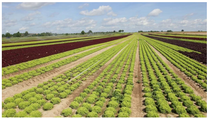 智慧農業(yè)十大趨勢