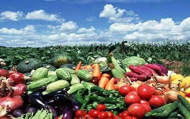 山西朔州兩村入選全國鄉(xiāng)村特色產(chǎn)業(yè)超億元村