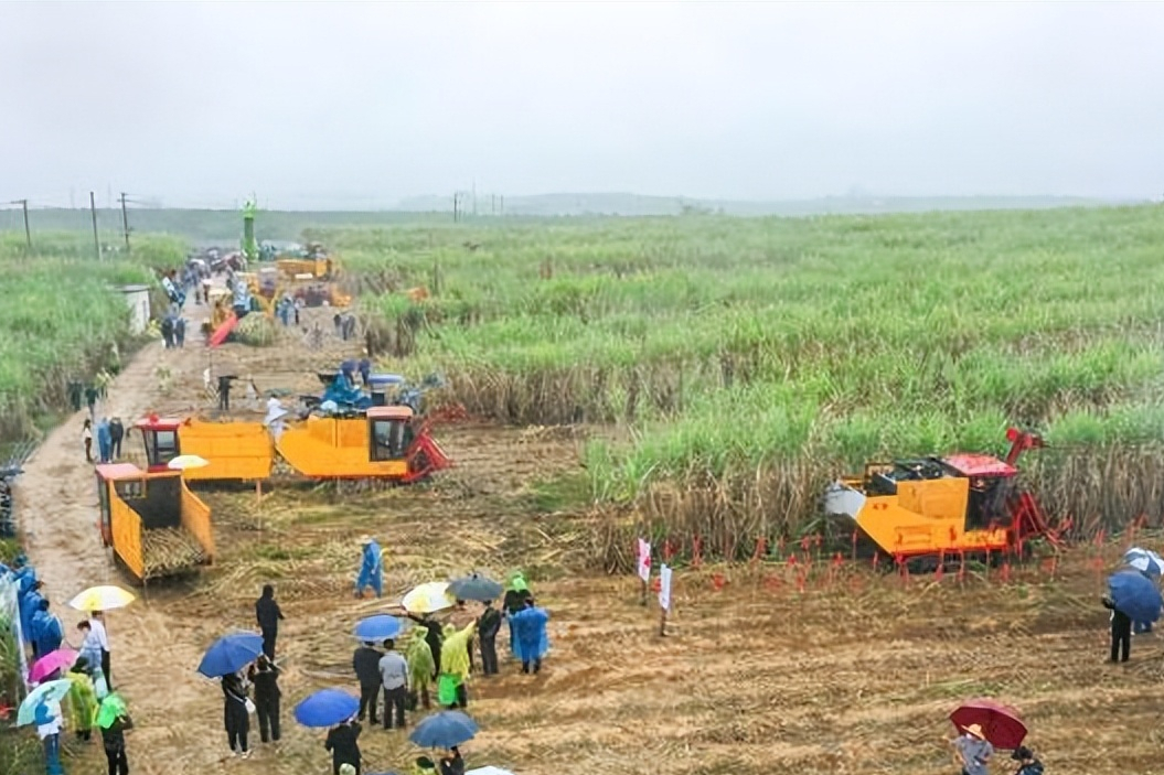 圖為參觀者觀摩機具演示。