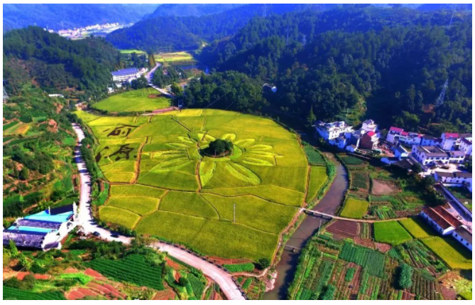 鄉(xiāng)村振興的出發(fā)點和落腳點