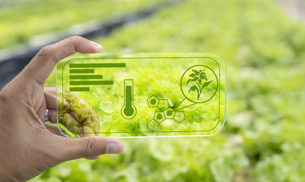 數(shù)字經(jīng)濟(jì)引領(lǐng)農(nóng)業(yè)農(nóng)村現(xiàn)代化正當(dāng)時