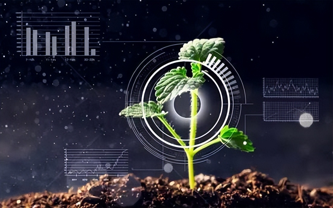 智慧園林,智能管理