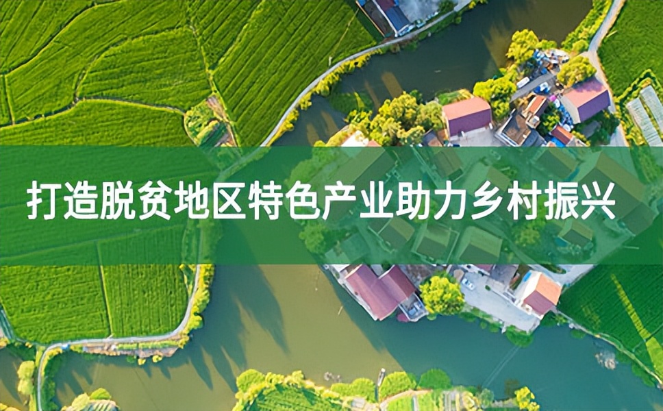 強化規劃引領，推動產業集群發展