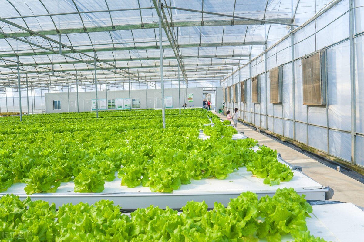 發(fā)展新型農(nóng)業(yè)經(jīng)營