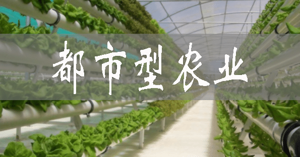 北京懷柔湯河口鎮(zhèn)：都市型農(nóng)業(yè)拉動鄉(xiāng)村振興