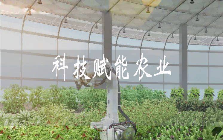 科技賦能提質增效 方正走出硒望增收路