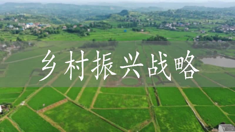 江都區浦頭鎮積極探索農機服務譜寫鄉村振興新篇章