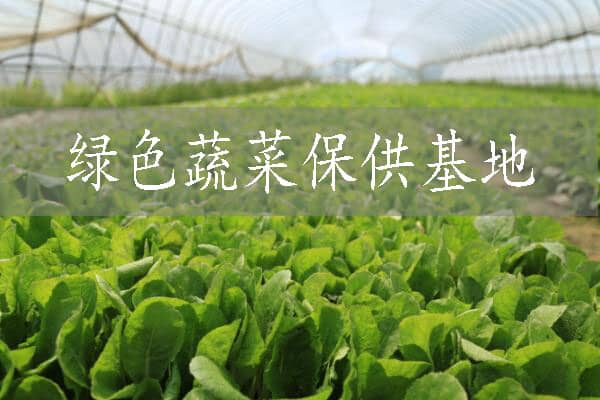 蘇州市370個(gè)綠色蔬菜保供基地全部入庫(kù)