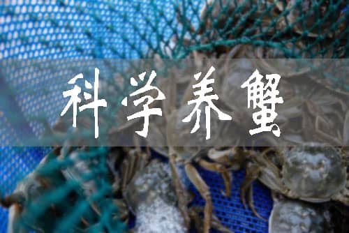 當涂：科學養蟹助增收