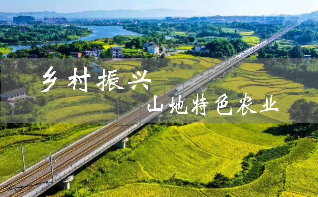 發展山地特色效益農業 國家級田園綜合體助力忠縣鄉村振興
