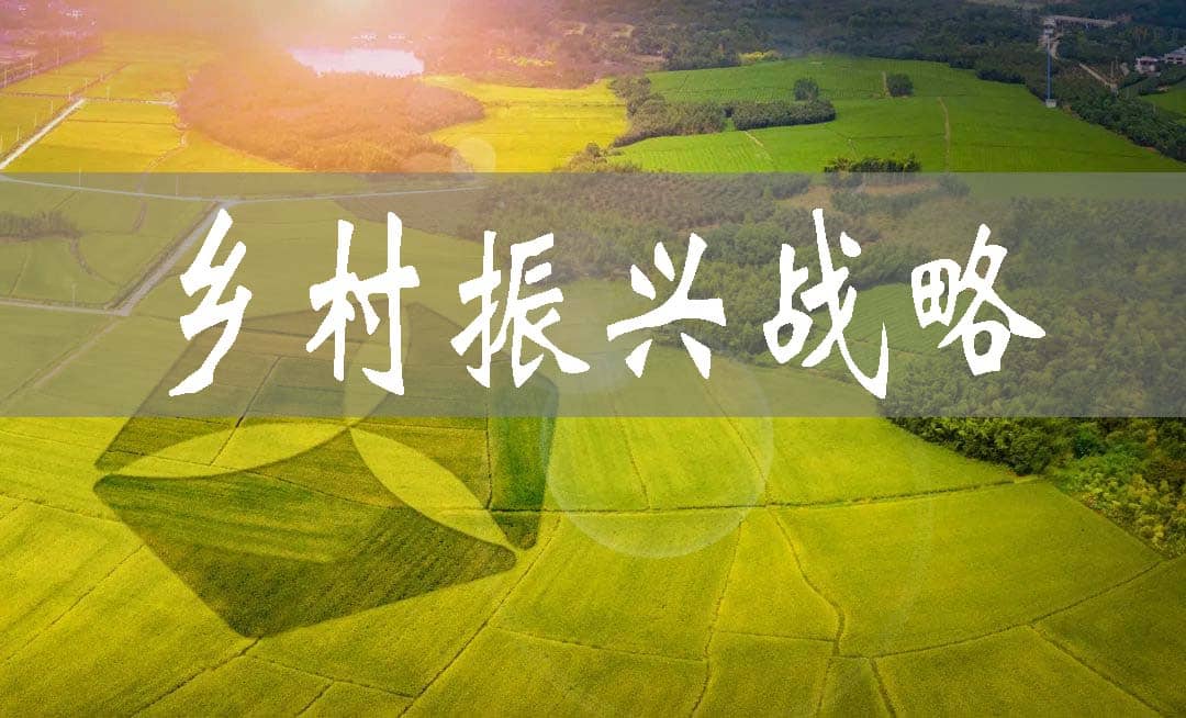 保定全力打造鄉村振興新樣板