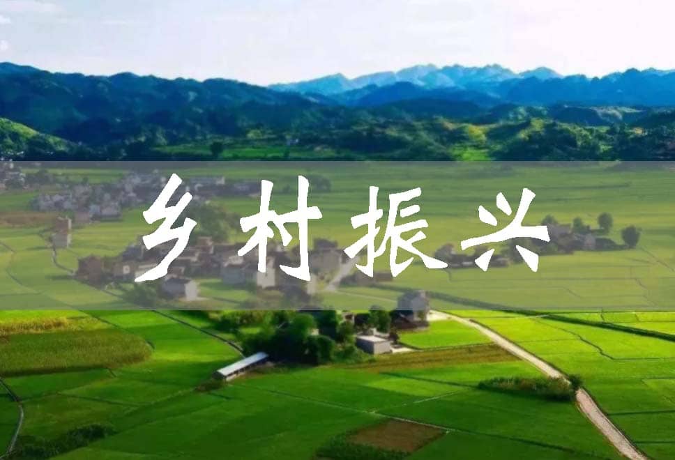 “三四五六”助推鄉村振興邁出新步伐