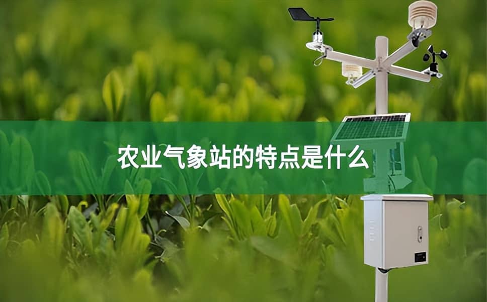 農業氣象站的特點是什么？