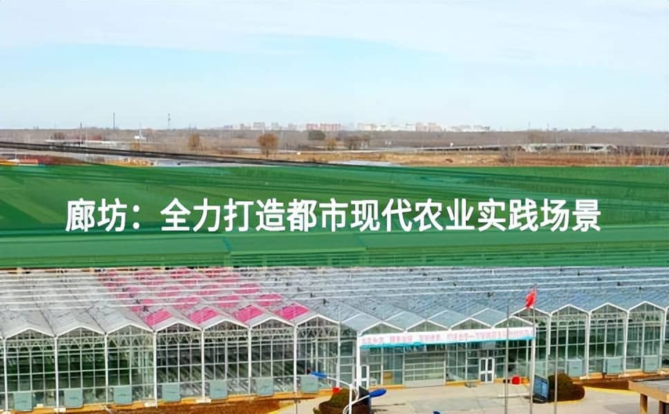 廊坊:全力打造都市現(xiàn)代農(nóng)業(yè)實(shí)踐場(chǎng)景