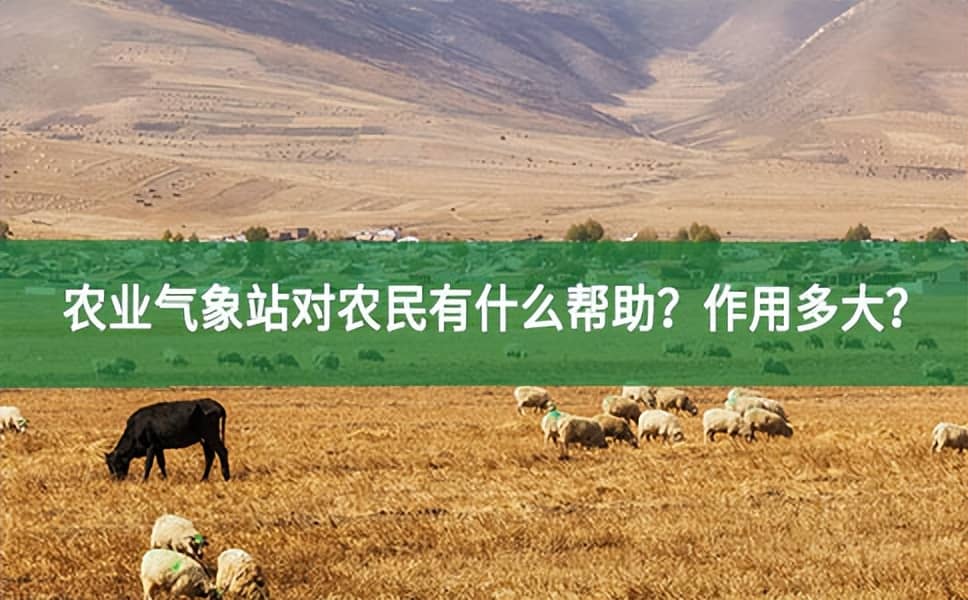 農(nóng)業(yè)氣象站對農(nóng)民有什么幫助？作用多大？