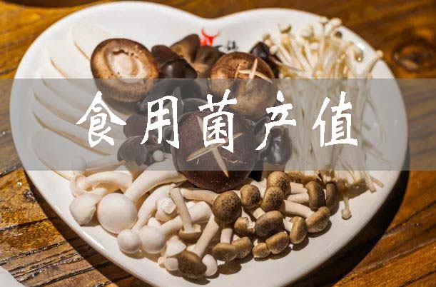 今年食用菌產值將達90億元