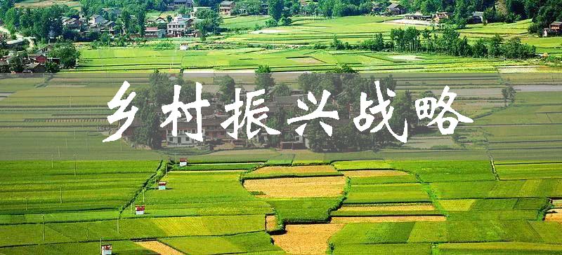 200個村開展鄉村振興試點