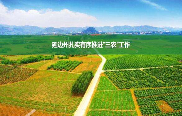 延邊州扎實(shí)有序推進(jìn)“三農(nóng)”工作