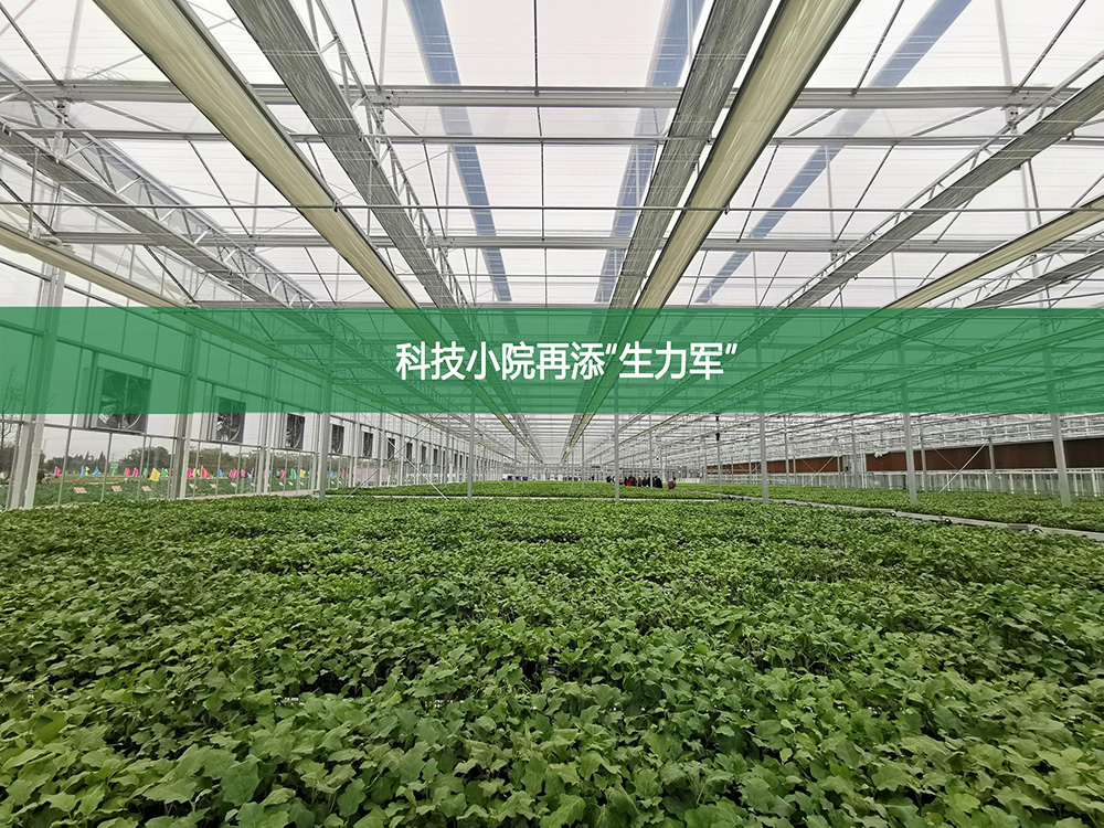 2023年新疆將全力保障農業(yè)灌溉用水