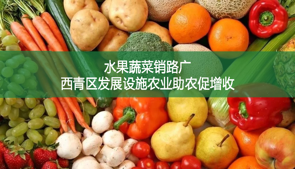 水果蔬菜銷路廣 西青區(qū)發(fā)展設(shè)施農(nóng)業(yè)助農(nóng)促增收