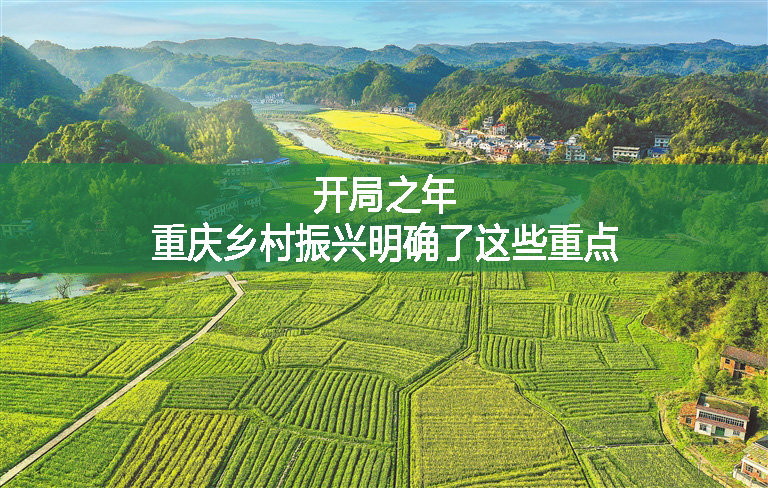 開局之年，重慶鄉(xiāng)村振興明確了這些重點