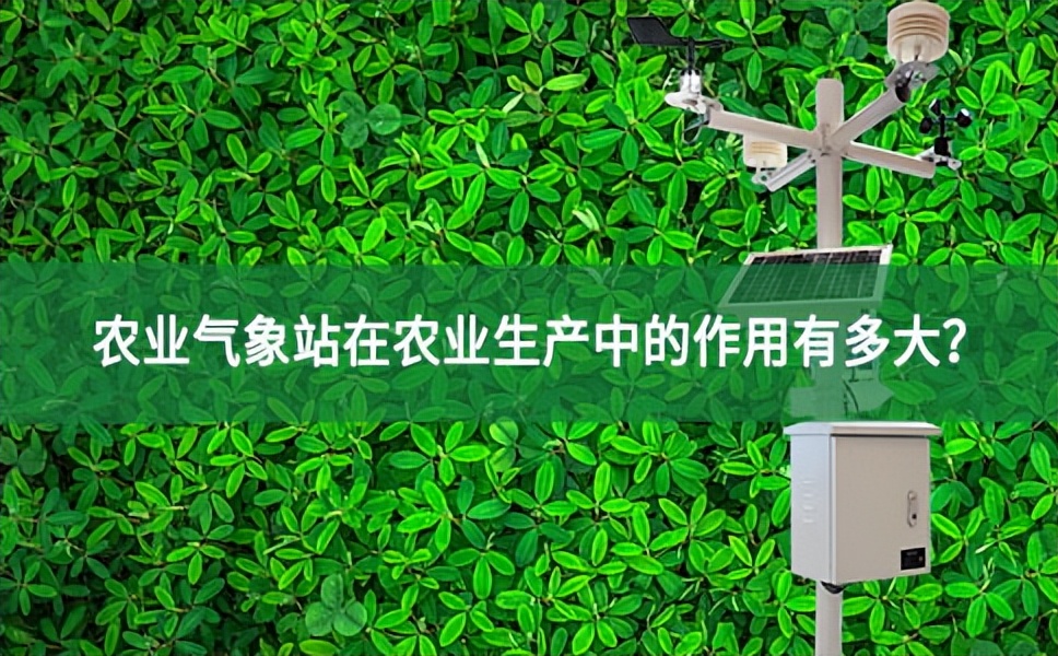 農業氣象站在農業生產中的作用有多大?