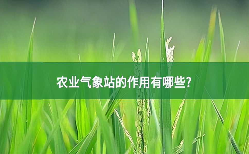 農業氣象站的作用有哪些?