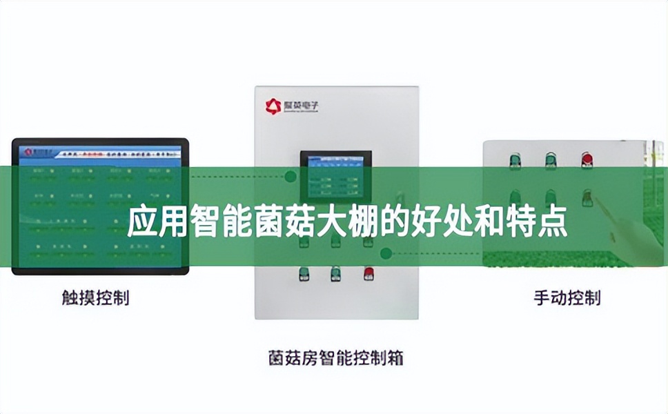應用智能菌菇大棚的好處和特點