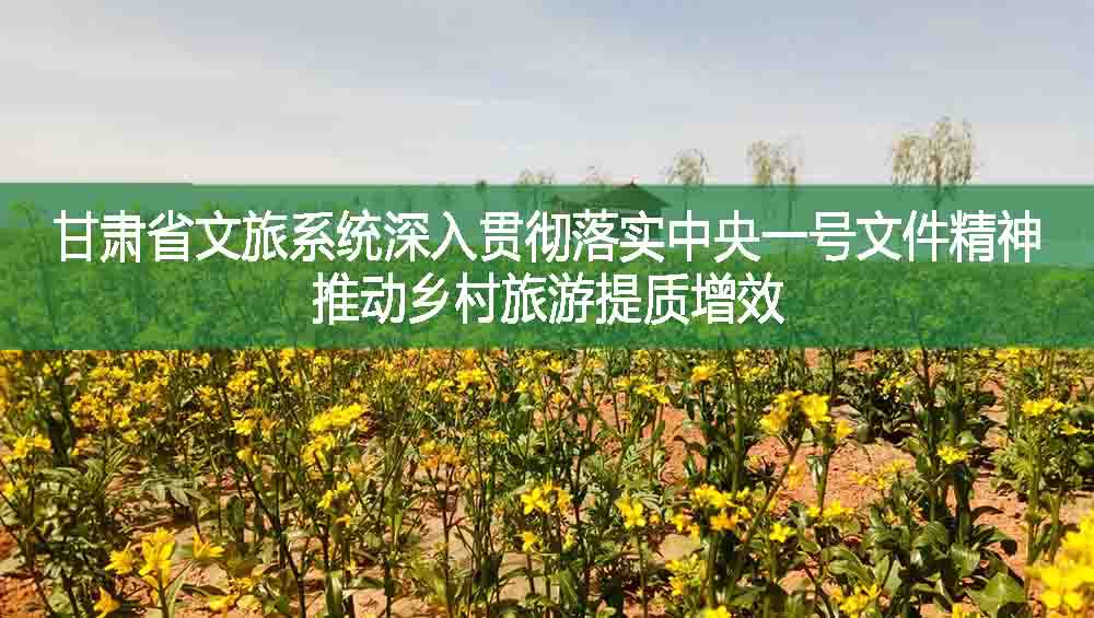 甘肅省文旅系統深入貫徹落實中央一號文件精神推動鄉村旅游提質增效
