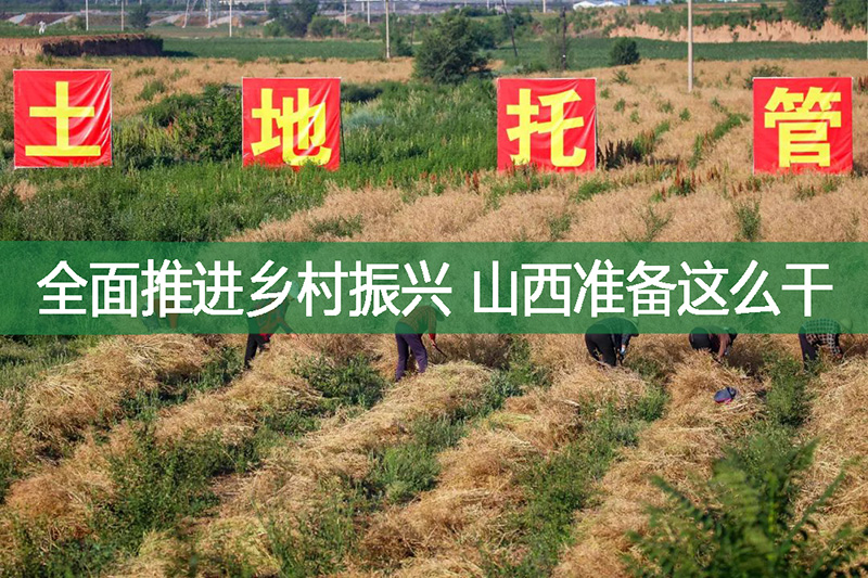 全面推進鄉村振興，山西準備這么干