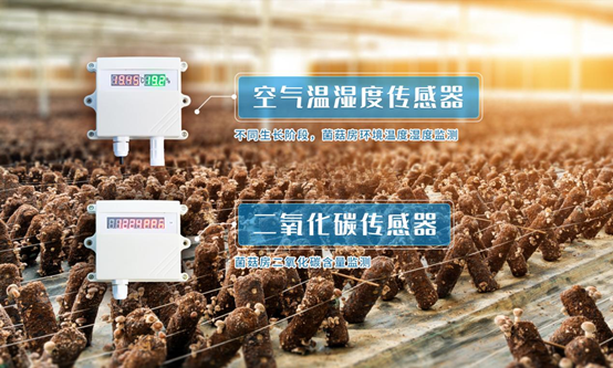 在線監(jiān)測(cè)香菇種植環(huán)境
