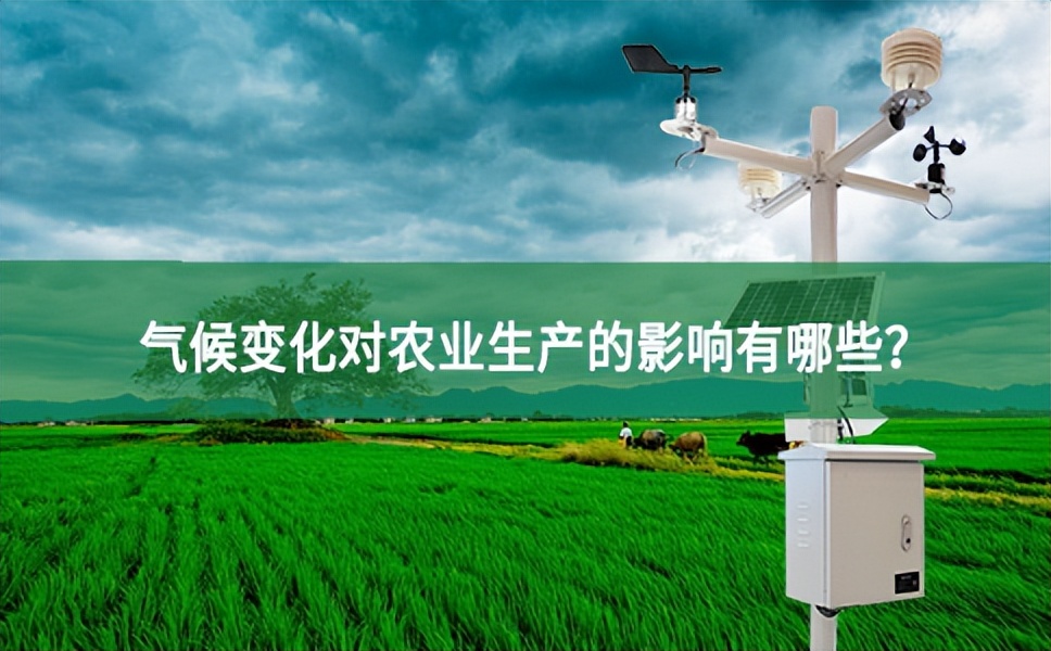 【農業氣象站】氣候變化對農業生產的影響有哪些?