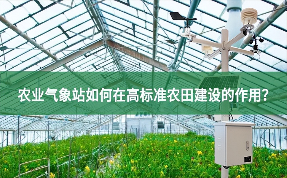 聚英云農:農業氣象站如何在高標準農田建設的作用?