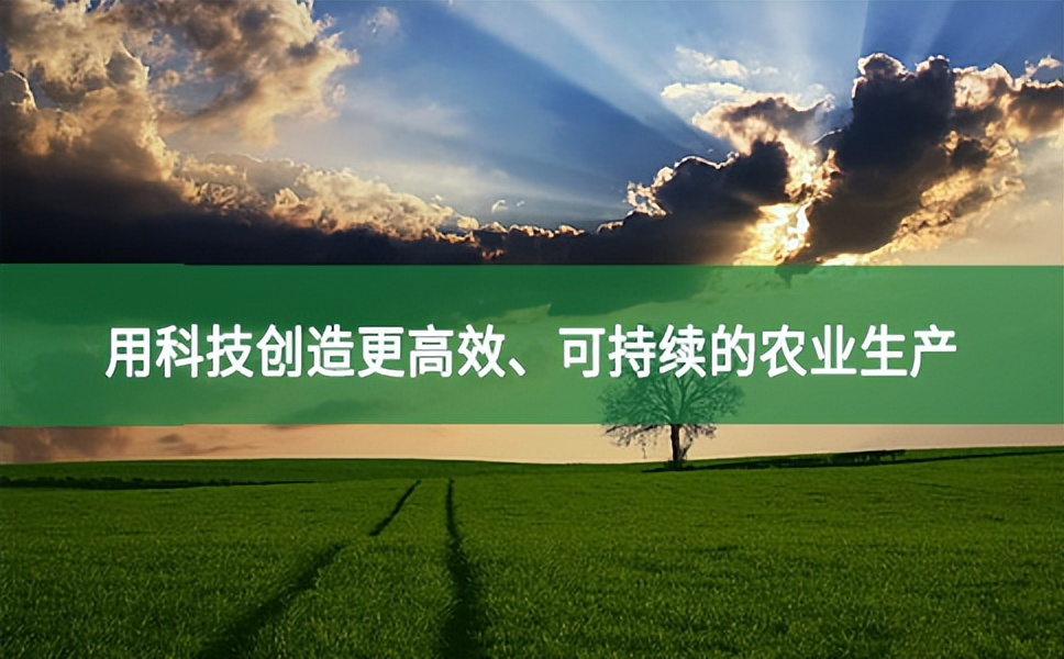 用科技創造更高效、可持續的農業生產