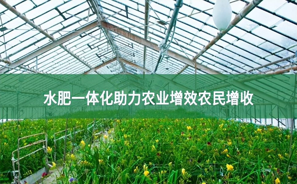 水肥一體化助力農(nóng)業(yè)增效農(nóng)民增收