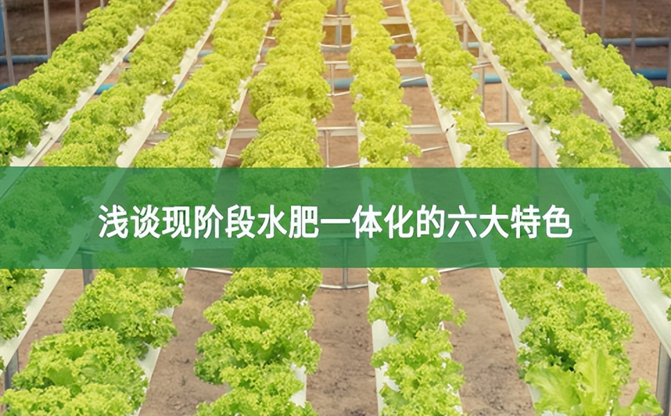 淺談現階段水肥一體化的六大特色