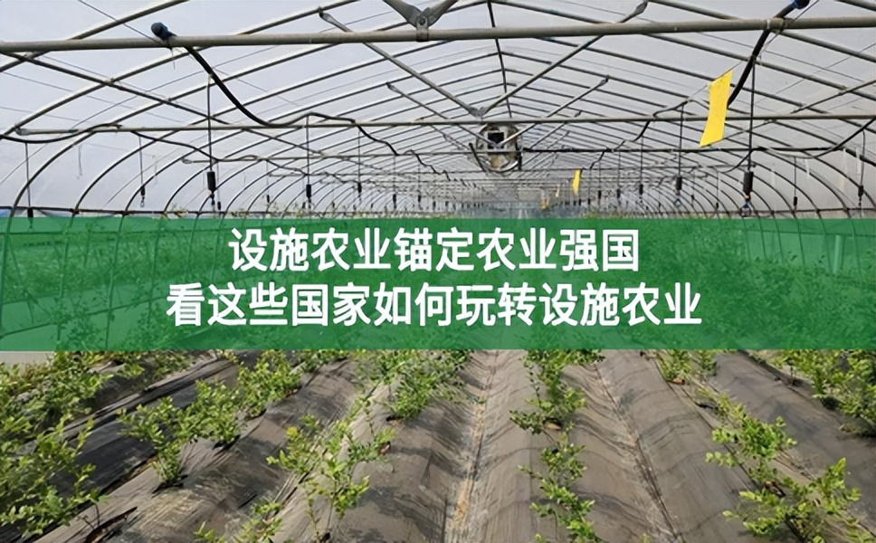 設(shè)施農(nóng)業(yè)錨定農(nóng)業(yè)強(qiáng)國(guó),看這些國(guó)家如何玩轉(zhuǎn)設(shè)施農(nóng)業(yè)