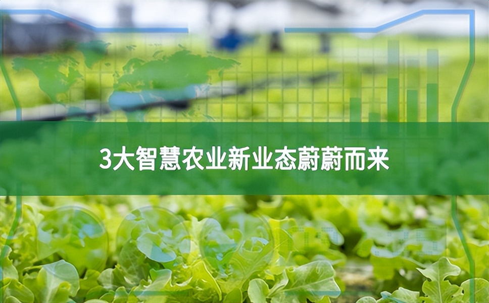 農(nóng)業(yè)數(shù)字經(jīng)濟(jì)大爆發(fā)，3大智慧農(nóng)業(yè)新業(yè)態(tài)蔚蔚而來(lái)