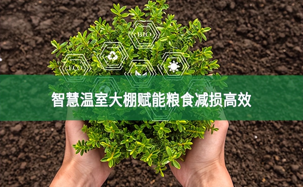 智慧溫室大棚賦能糧食減損高效