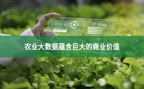 農(nóng)業(yè)大數(shù)據(jù)蘊(yùn)含巨大的商業(yè)價(jià)值