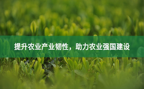 提升農(nóng)業(yè)產(chǎn)業(yè)韌性，助力農(nóng)業(yè)強國建設(shè)