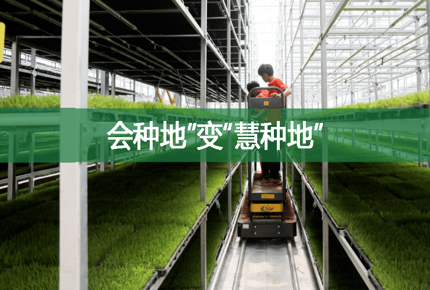 會種地”變“慧種地”