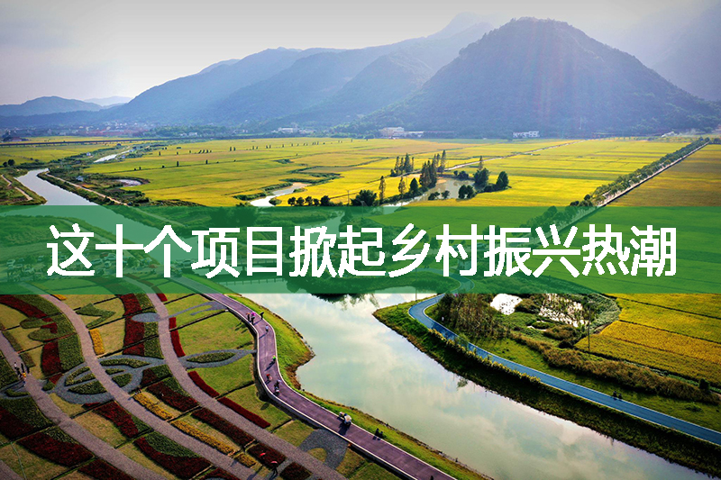 這十個(gè)項(xiàng)目掀起鄉(xiāng)村振興熱潮
