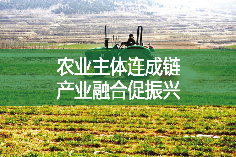 農(nóng)業(yè)主體連成鏈 產(chǎn)業(yè)融合促振興