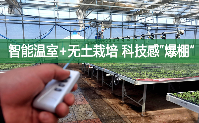 智能溫室+無土栽培 科技感“爆棚”!