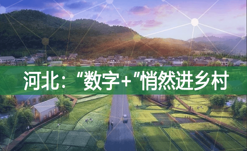 河北：“數(shù)字+”悄然進(jìn)鄉(xiāng)村