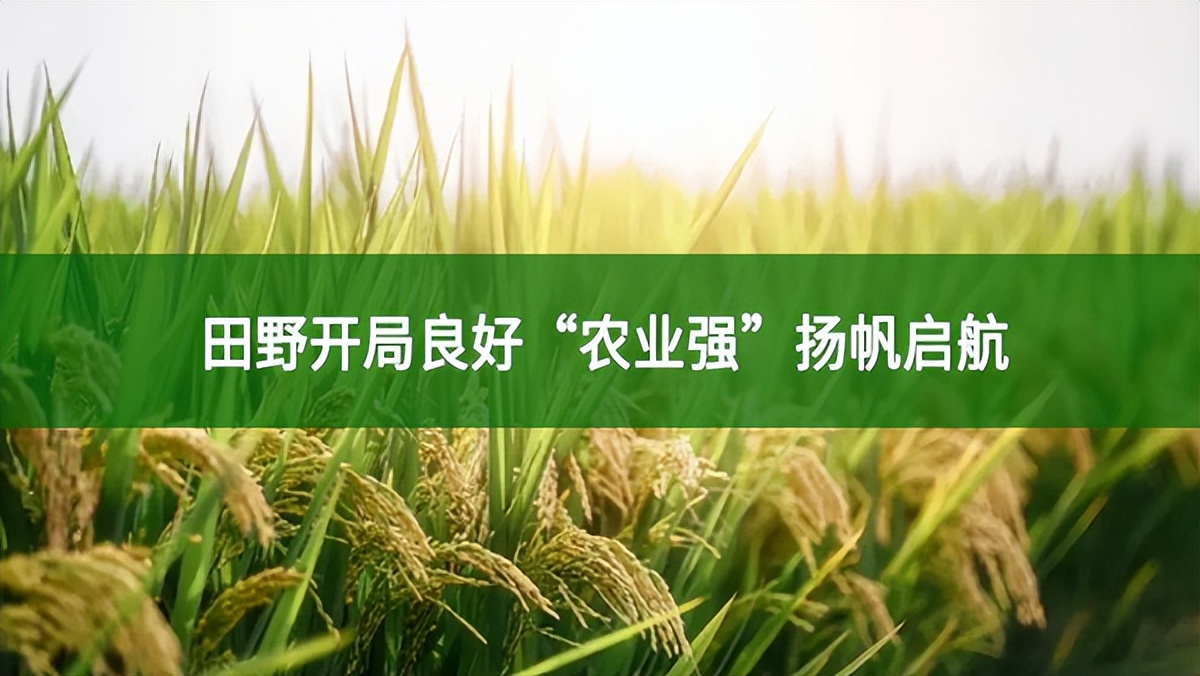 農(nóng)業(yè)農(nóng)村部:田野開局良好“農(nóng)業(yè)強”揚帆啟航