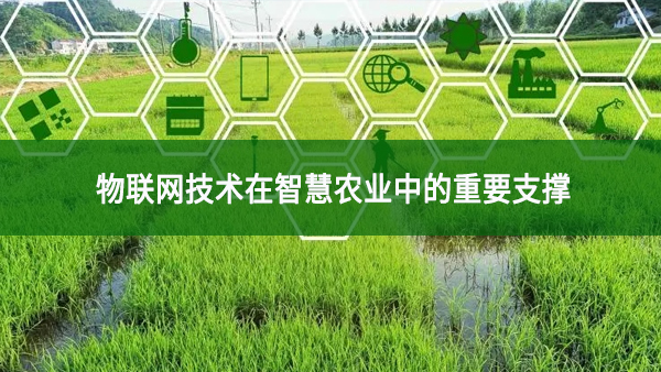 【農(nóng)業(yè)物聯(lián)網(wǎng)】物聯(lián)網(wǎng)技術(shù)在智慧農(nóng)業(yè)中的重要支撐